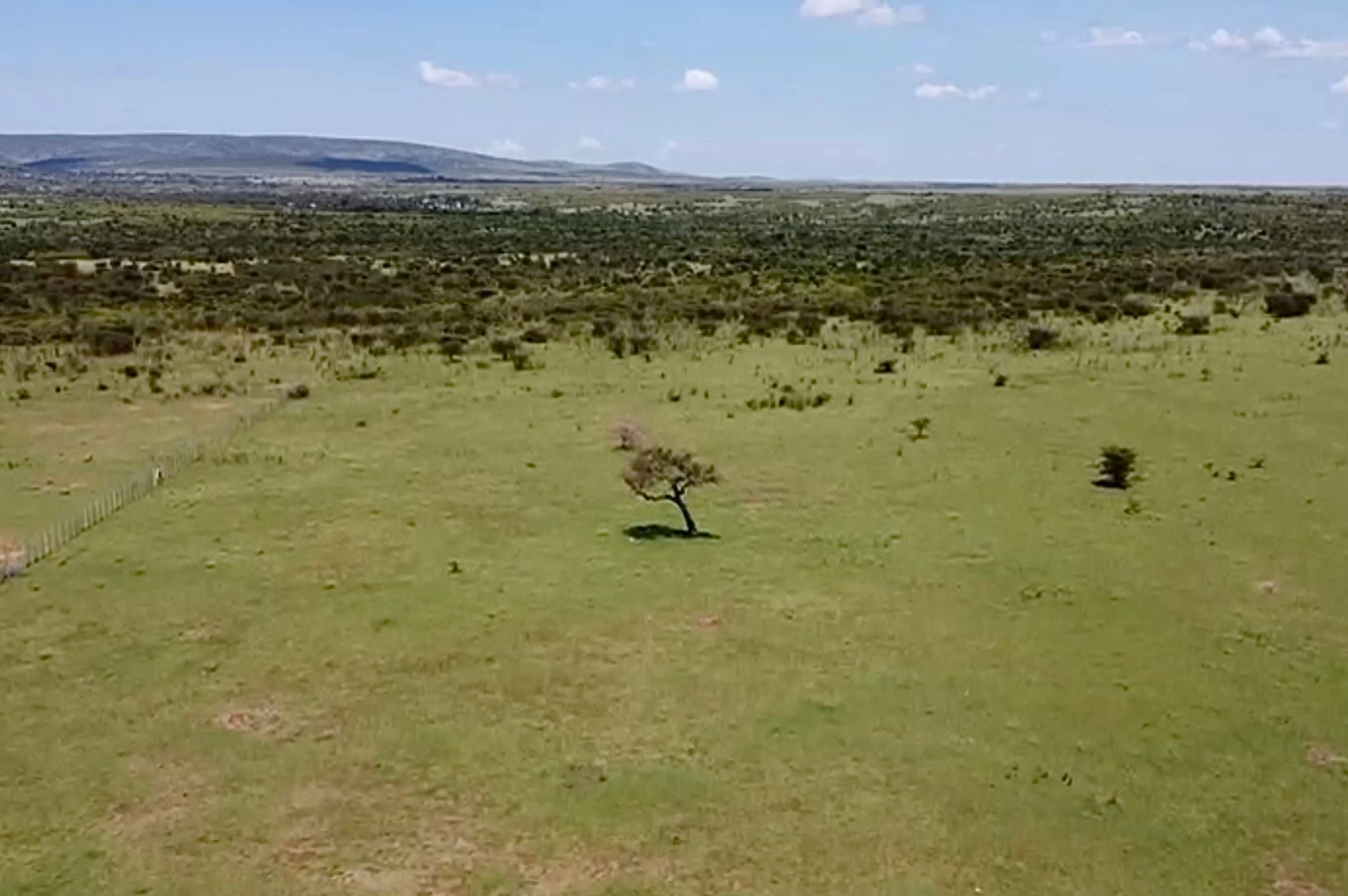 2 Acres Prime Plot in Masai Mara Near Sekenani gate